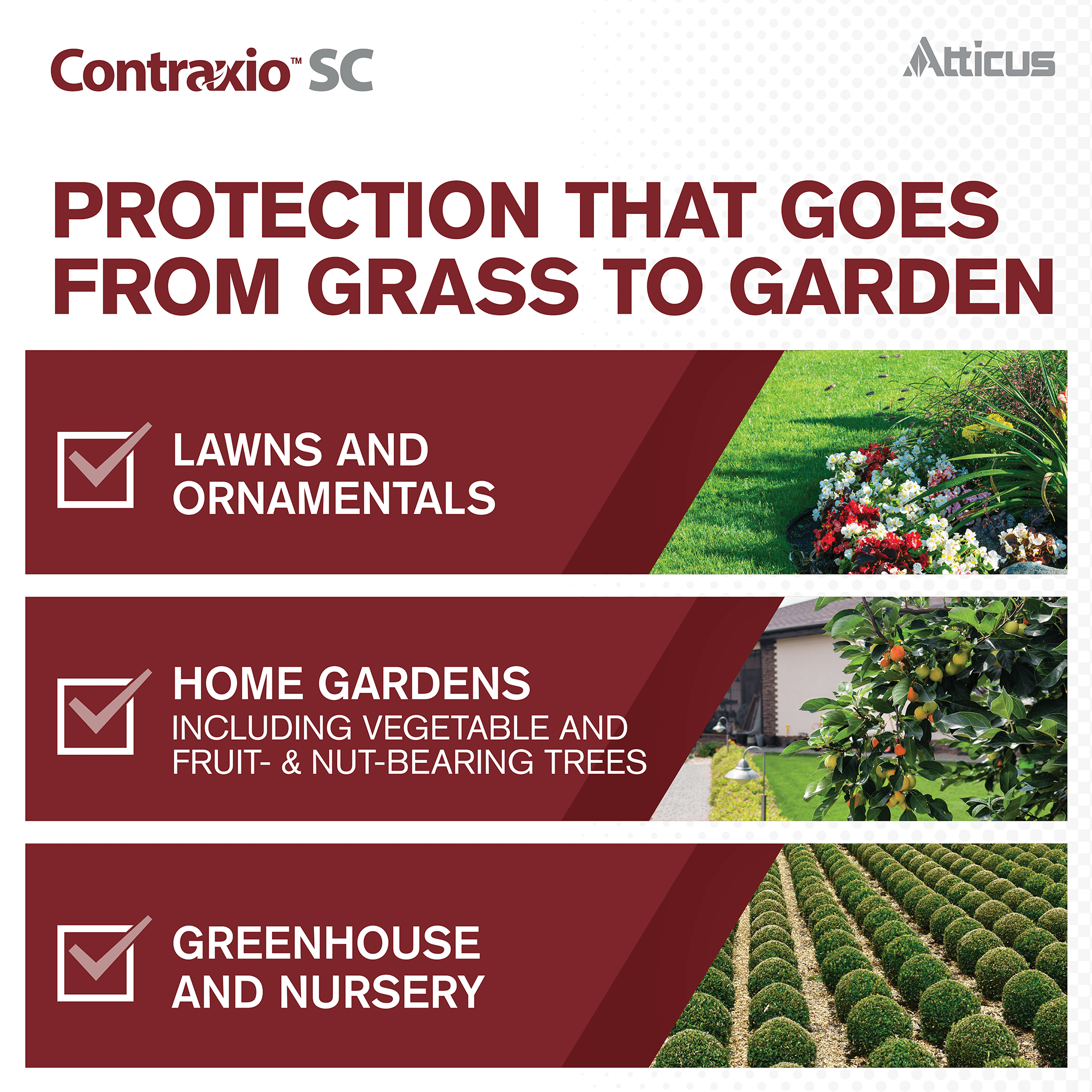 Contraxio SC Insecticide with Spinosad (32 OZ) Natural Pest Control for Lawn, Landscapes and Gardens by Atticus