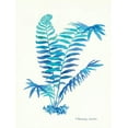 thumbnail image 2 of Babbitt, Gwendolyn 15x18 Black Ornate Wood Framed with Double Matting Museum Art Print Titled - Ombre Fern I, 2 of 4