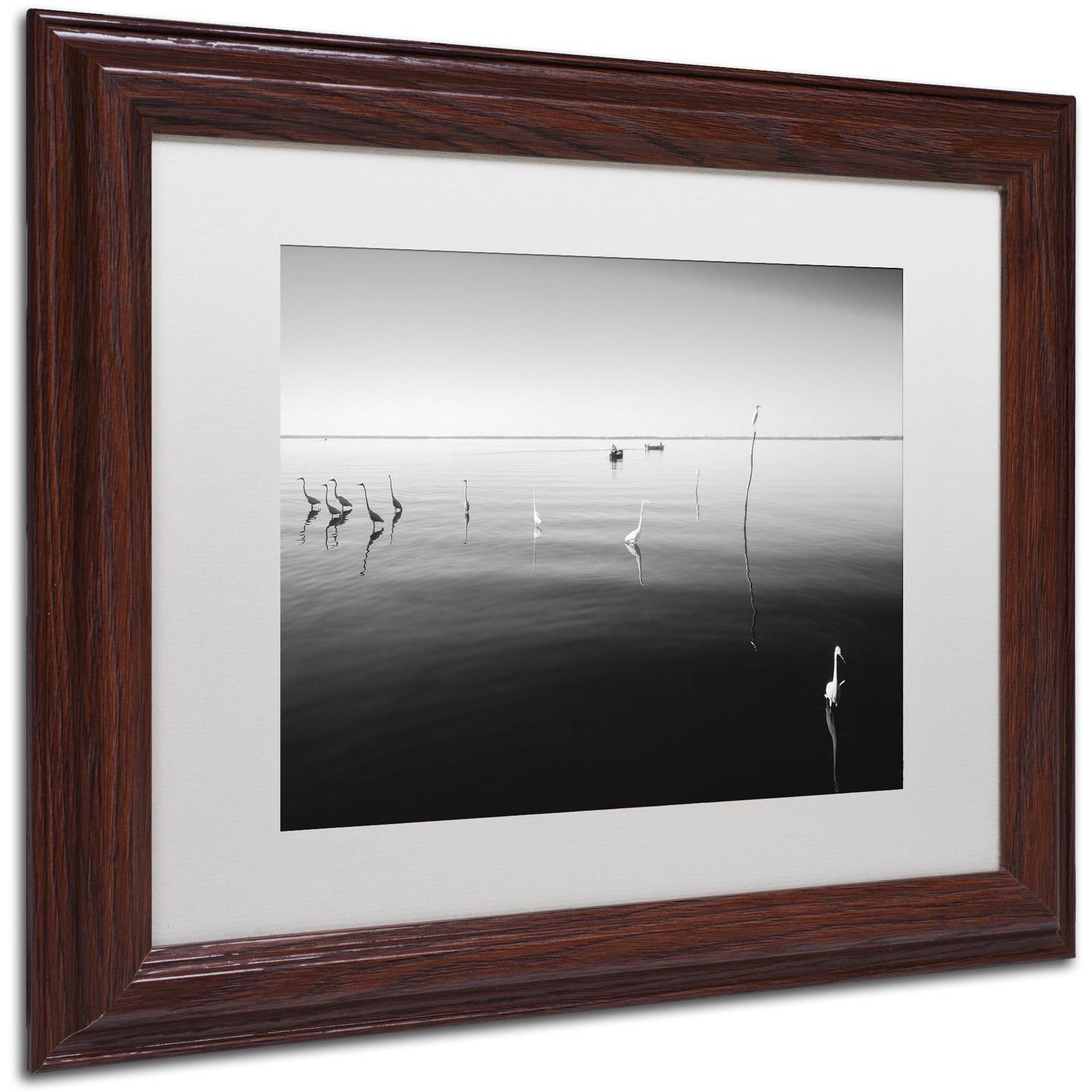 Trademark Fine Art "11 Herons" Canvas Art by Moises Levy White Matte, Wood Frame