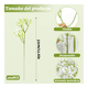 thumbnail image 2 of 100pz Flores Gypsophila Artificiales Para Ramo De Decoración Malubero Blanca, 2 of 4