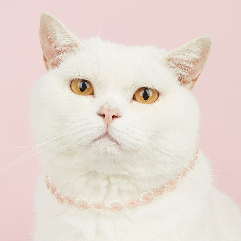 Princess cat collar online