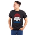 thumbnail image 3 of Vintage Patriotic American Buffalo Plus Size Crewneck Graphic Tee Shirt Brisco Brands 2X, 3 of 6