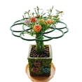 thumbnail image 7 of Slatcetga Strawberry Supports Frame Garden Clips Pole Plant Climbing Fruit Elevated Planting Stand, 7 of 7