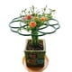 thumbnail image 4 of Soportes de fresa marco Clips de jardín poste planta trepadora fruta soporte de plantación elevado, 4 of 8