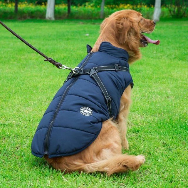 Ropa reflectante para perros grandes, resistente al frío, cálida, acolchada de algodón, chaqueta impermeable para perros de otoño e invierno