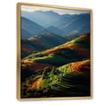 thumbnail image 2 of Designart "Contemporary Vineyard Scenery III" Landscape & Nature Floater Framed Wall Decor, 2 of 7