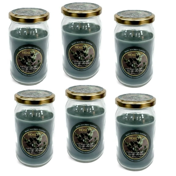 Hosley 9OZ Fragrance Jar Candle Set of 6- Eucalyptus Mint. Ideal Gift for Party Favor Weddings Spa Reiki Meditation Bathroom Settings