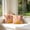 A, variant on PiGOGI Set of 2 Bohemian Sun Print Throw Pillow Covers Geometric Decorative Cushion Cases