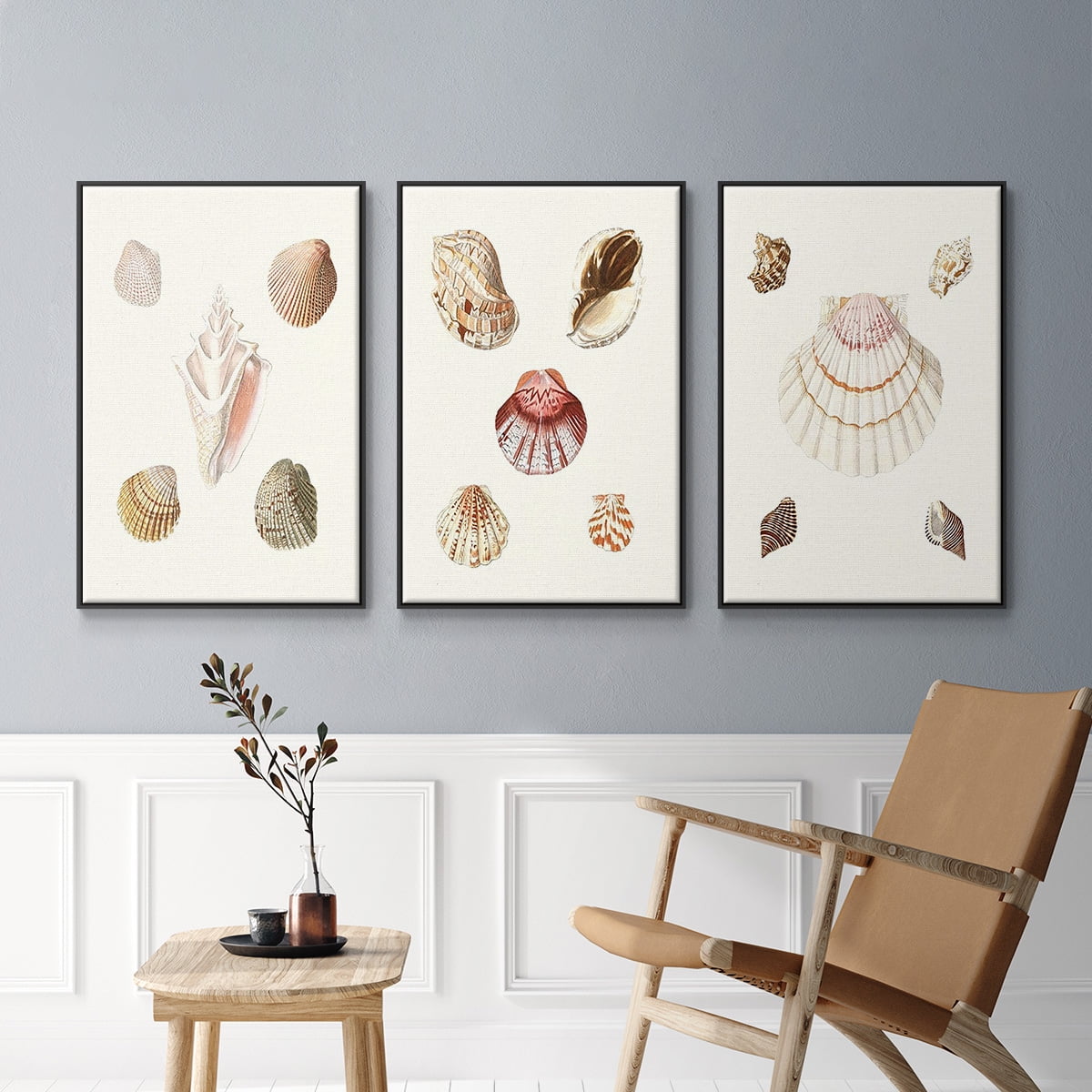 Pastel Knorr Shells IV - Framed Premium Gallery Wrapped Canvas L Frame 3 Piece Set - Ready to Hang