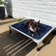 thumbnail image 2 of Chew Proof Elevated Dog Bed - Cooling Raised Pet Cot - Silver Aluminum Frame and Durable Textilene Mesh Fabric, Unique Designed No-Slip Feet for Indoor or Outdoor Use, Black Silver, X Large, 2 of 5