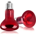 thumbnail image 1 of Czcpp-ampoule de Lampe Chauffante pour Reptiles Ampoules UVB pour Reptiles 85W, Ampoule de Point de Rinçage pour Reptiles Poulailler Barbu Dragon Tortue Ermite Crabe Lézard, 2 Pcs, 1 of 4