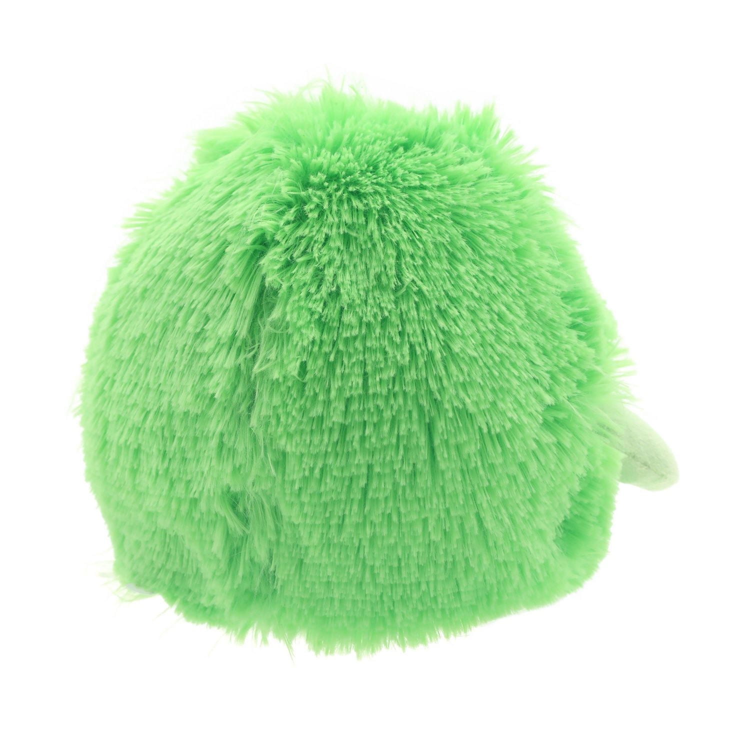 Façon de célébrer la grenouille moelleuse moyenne