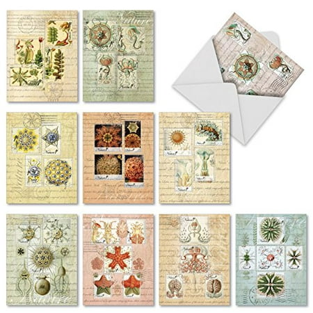 'M2353OCB VINTAGE NATURE' 10 Assorted All Occasions Notecards Featuring Antique Styled Postal Stamps on Collaged Background of Postcards and Maps with Envelopes by The Best Card (Best Map Card For Lowrance)