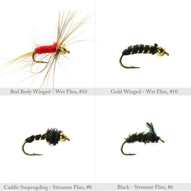 60pcs Fly Fishing Dry Flies Wet Flies Assortment Kit with Waterproof Fly  Box for Trout Fishing