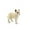 white-4C-home supplies, variant on ABPWLY Toys Simulation White Wolf Model Roaring Wolf Figure Desktop Sand Table Decoration Ornament with Realistic Details Game