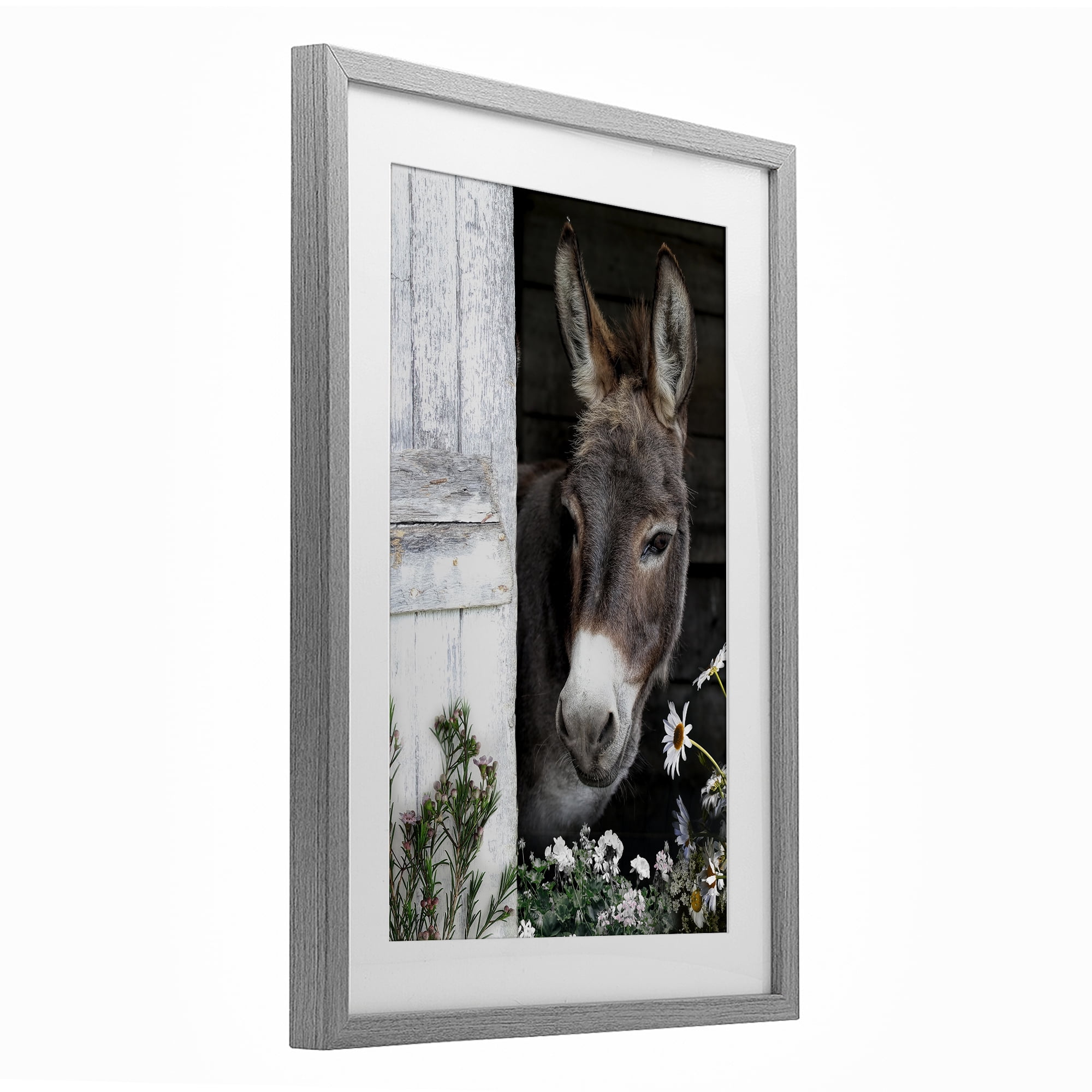 Stupell Industries Gentle Donkey Peering from Barn Gray Framed Print Under Glass, design by CAD Designs