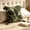 #100Green, variant on Aff*ordable！Vintage Bohemian Cotton Pillow Cover with Breathable Soft Fabric and Hidden Zipper Closure, Decorative Cushion Case for Sofa, Bed, and Living Room.