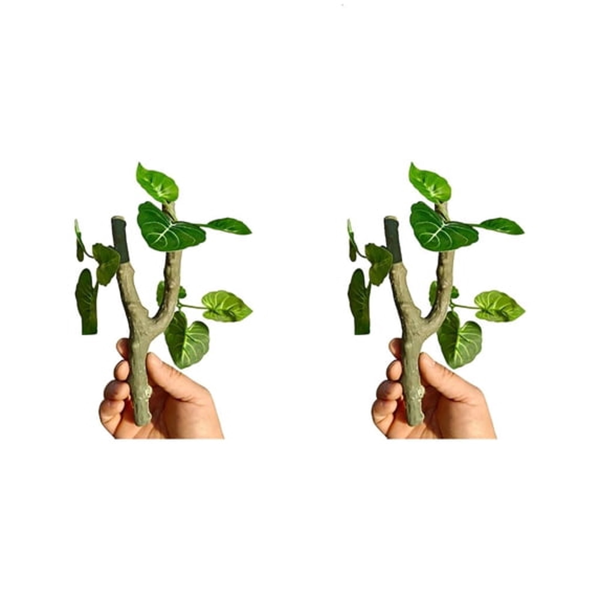 BESTSKY Pack of 2 Habitat Branch Climbing Vine for Small Reptiles Pet Including Hermit Crabs and Crested Geckoes Easy to Install for Terrarium Cage Decoration Pet Care Accessory