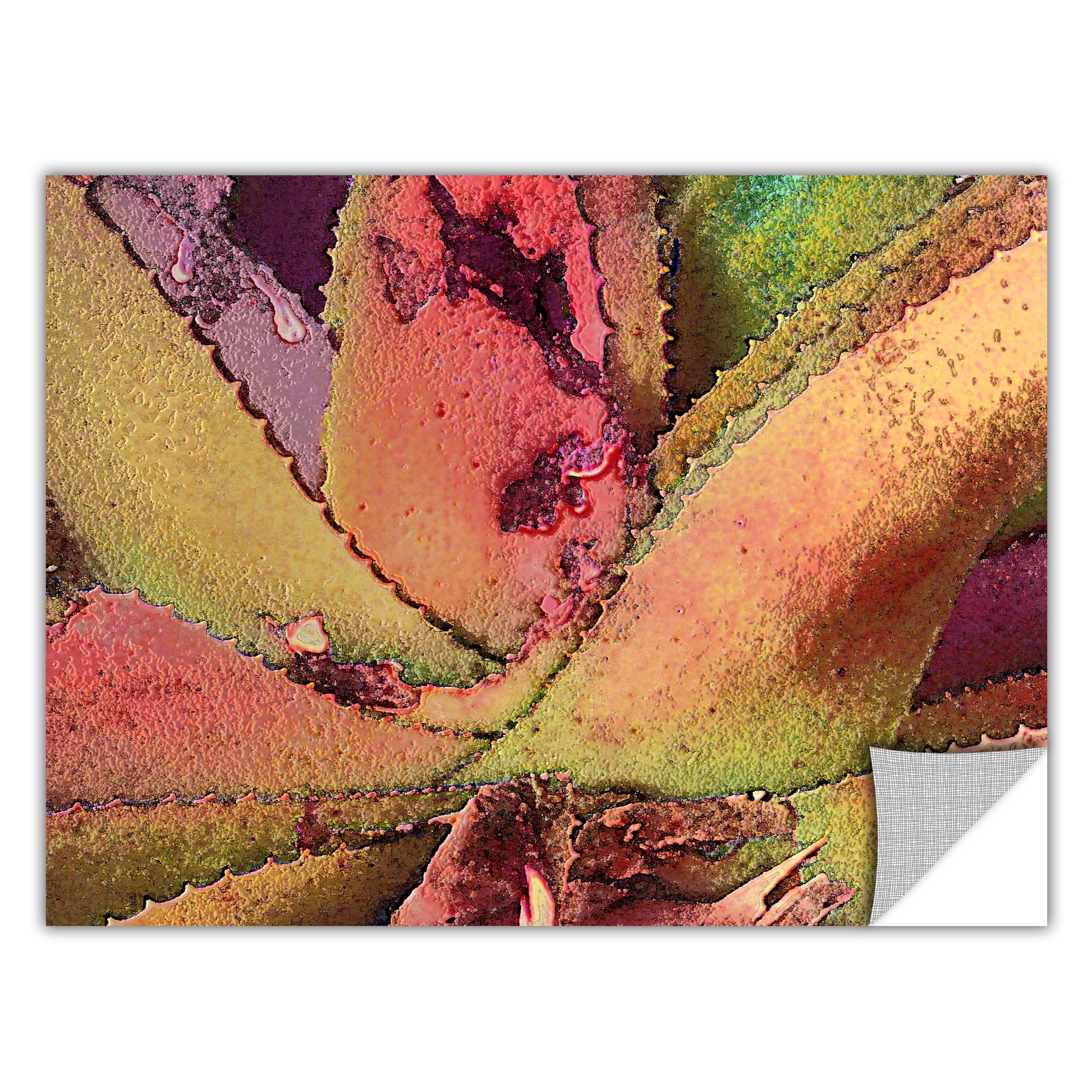 Dean Uhlinger "Texturas Suculentas" Removable Wall Art Graphic