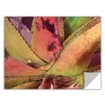 thumbnail image 2 of Dean Uhlinger "Texturas Suculentas" Removable Wall Art Graphic, 2 of 2