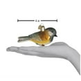 thumbnail image 3 of Old World Christmas Bird Watcher Collection Glass Blown Ornaments for Christmas Tree Black-Capped Chickadee, 3 of 3