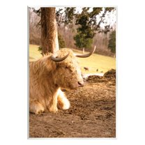 Stupell Industries Relaxing Cattle Lying Beneath Tree Grazing Farmland Meadow Photograph Unframed Art Print Wall Art, Design by Donnie Quillen