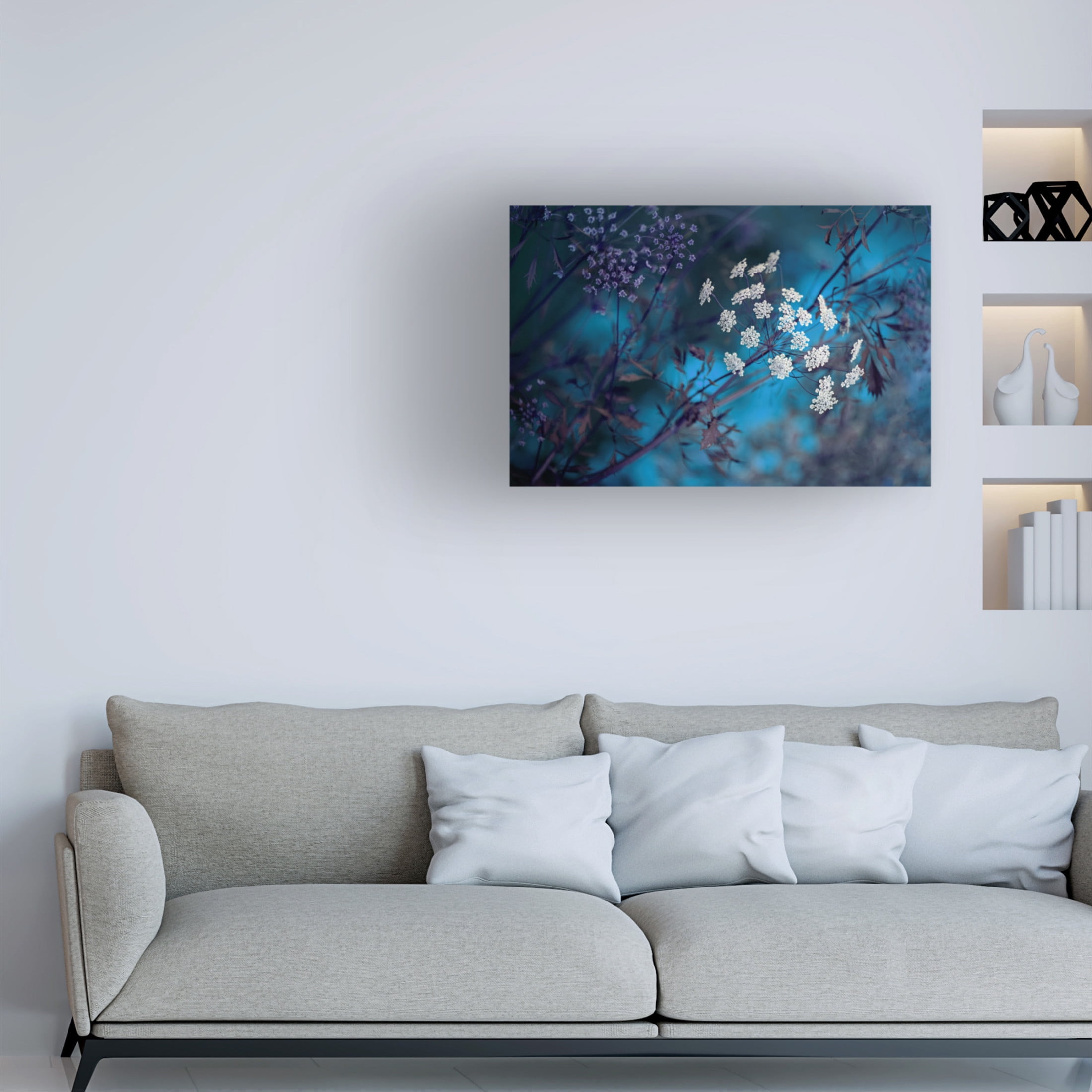 Canvas Wall Art - Jacky Parker 'Queen Annes Lace' Wall Art for Living Room, Bedroom, or Office D?cor by Trademark Fine Art - 47 x 30 Inches