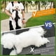 thumbnail image 4 of Lindo mochila de para mascotas perro gato al aire salir libre bolsa de viaje, 4 of 4