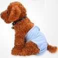thumbnail image 1 of Ropa Mascotas Perro Pantalones Fisiológicos de Animal Doméstico Complimentos Suave Menstrual de Pañal - Blue L, 1 of 6