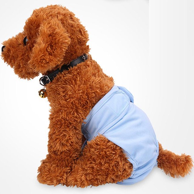 Ropa Mascotas Perro Pantalones Fisiológicos de Animal Doméstico Complimentos Suave Menstrual de Pañal - Blue L