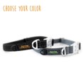 thumbnail image 2 of Mighty Paw Metal Buckle Dog Collar, All Metal Hardware, Lightweight Collar, Reflective Stitching, Strong, Durable (Small, Black), 2 of 9