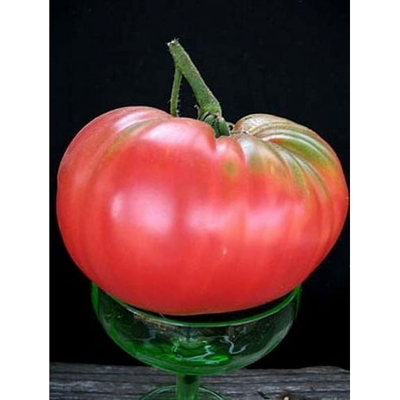 Tomato Brandywine Pink Great Garden Heirloom Vegetable BULK 1,200 Seeds