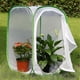 thumbnail image 2 of 2-Pack Insect and Butterfly Habitat Cage_, 2 of 5