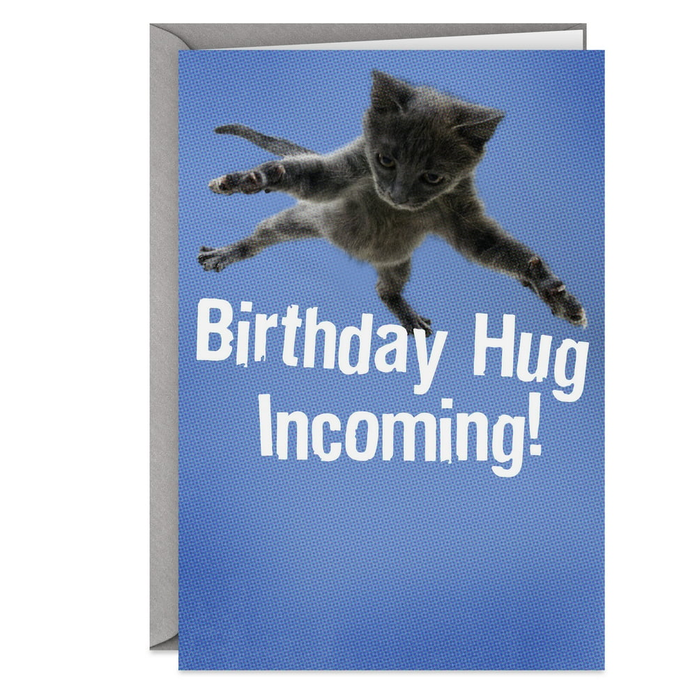 Hallmark Shoebox Funny Birthday Card (Flying Cat)