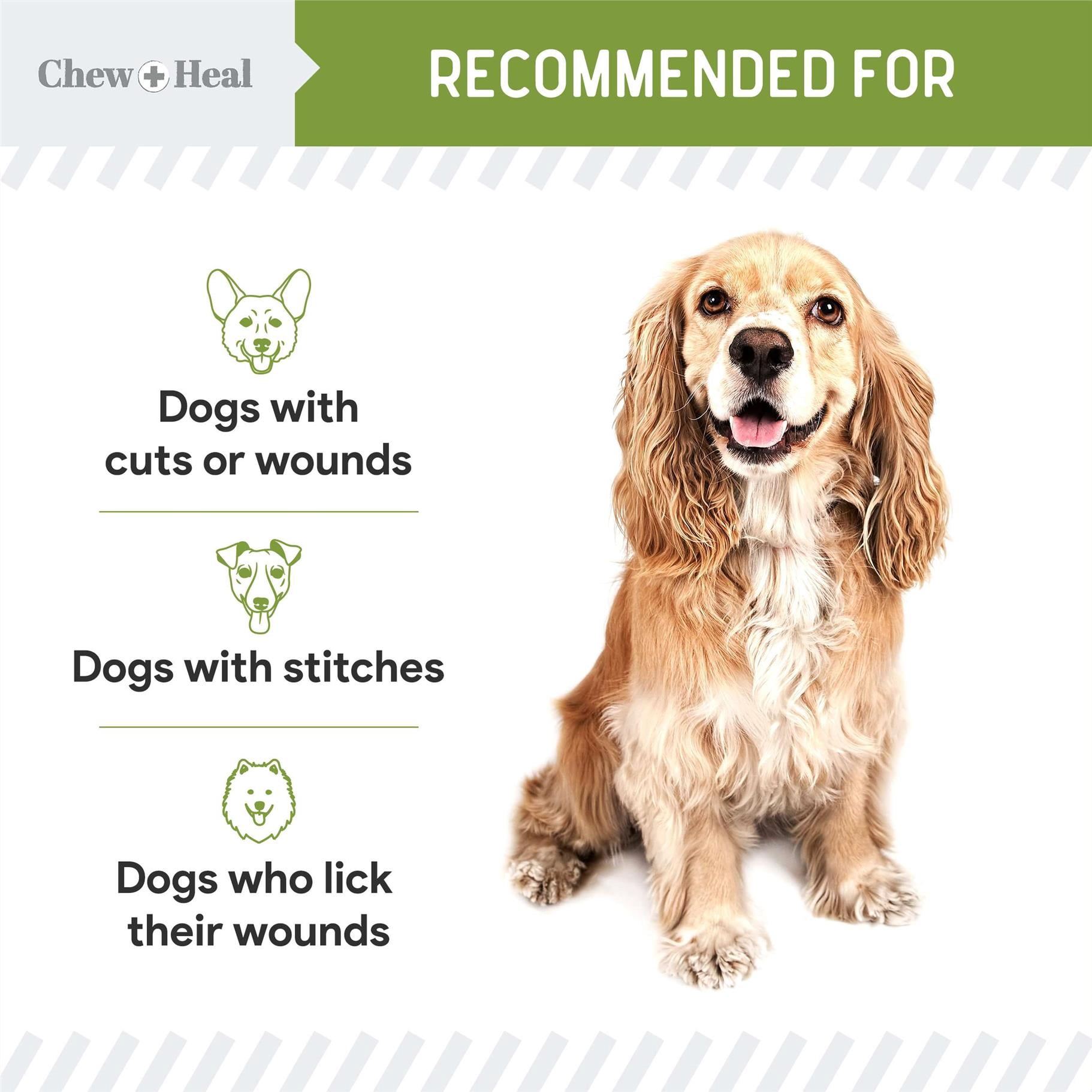 Chew + Heal Pet Liquid Bandage for Dogs and Cats - 4 oz Spray with Aloe - Wound Care for Pets for Cuts, Scrapes, and Stitches
