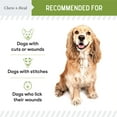 thumbnail image 5 of Chew + Heal Pet Liquid Bandage for Dogs and Cats - 4 oz Spray with Aloe - Wound Care for Pets for Cuts, Scrapes, and Stitches, 5 of 7
