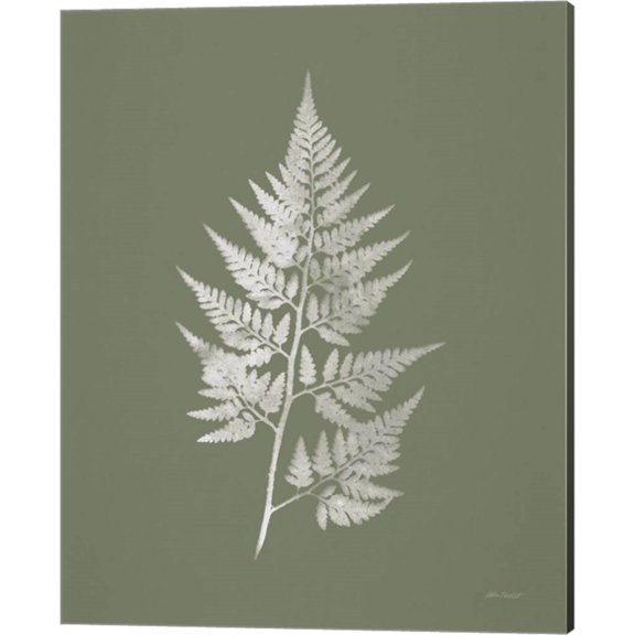 Great Art Now True Green VIII by Katie Pertiet, Canvas Wall Art, 16W x 20H