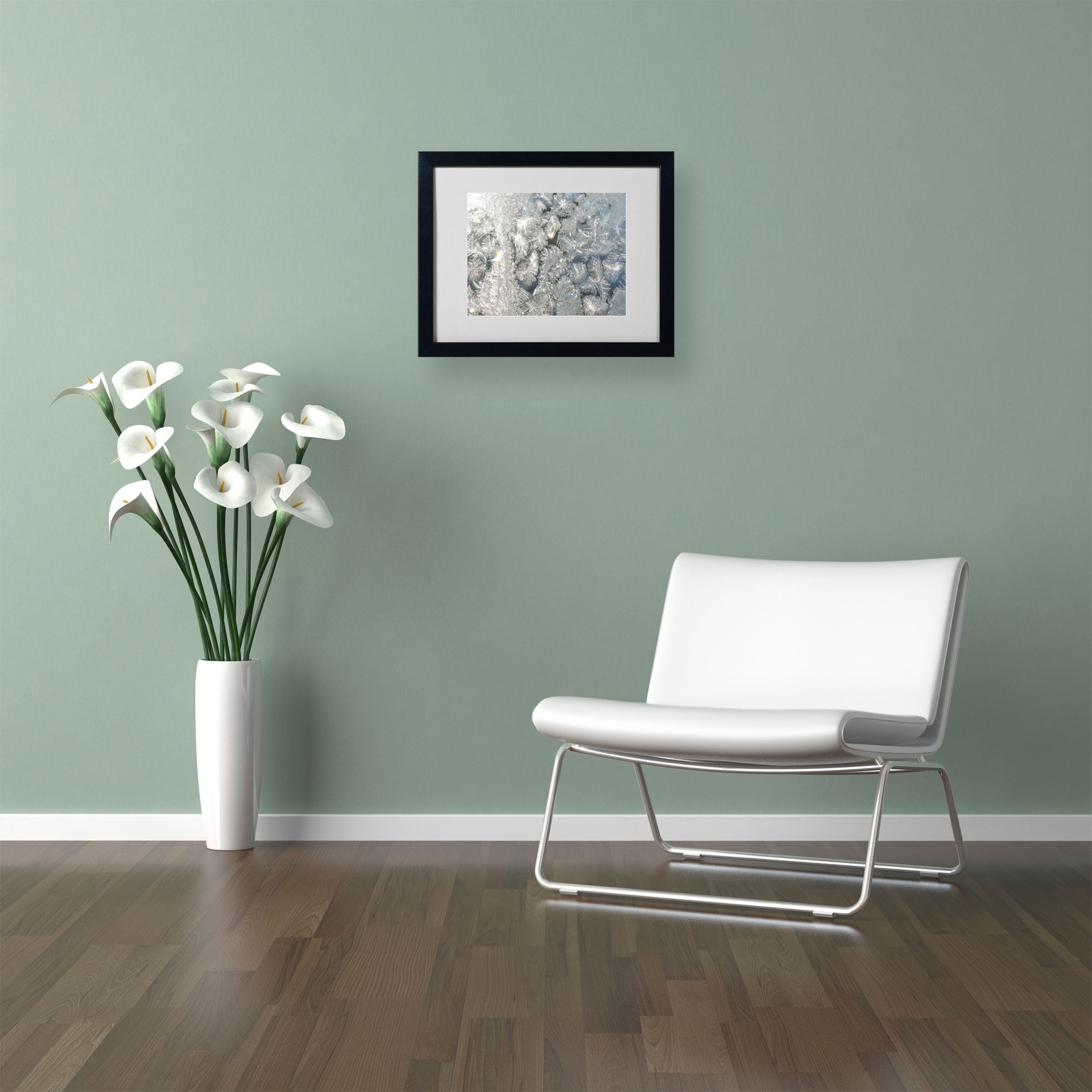 Trademark Kurt Shaffer "Frost Pattern in the Sun" Art White Matte With Black Frame 16" x 20"