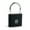 10 Finger Black, variant on Tuya Smart Fingerprint Padlock Home Security Anti-theft Waterproof Remote Control Battery Power USB Keyless Door Lock ,Flexible Password Options