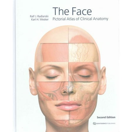 The Face Pictorial Atlas Of Clinical Anatomy Walmart Com