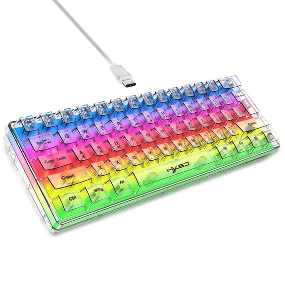 60% Wired Gaming Keyboard/Fully Transparent Keyboard with 6+8 RGB Backlight Effects/61 Mini Keys Keyboard for PC/Mac Gamer/Typist/Travel