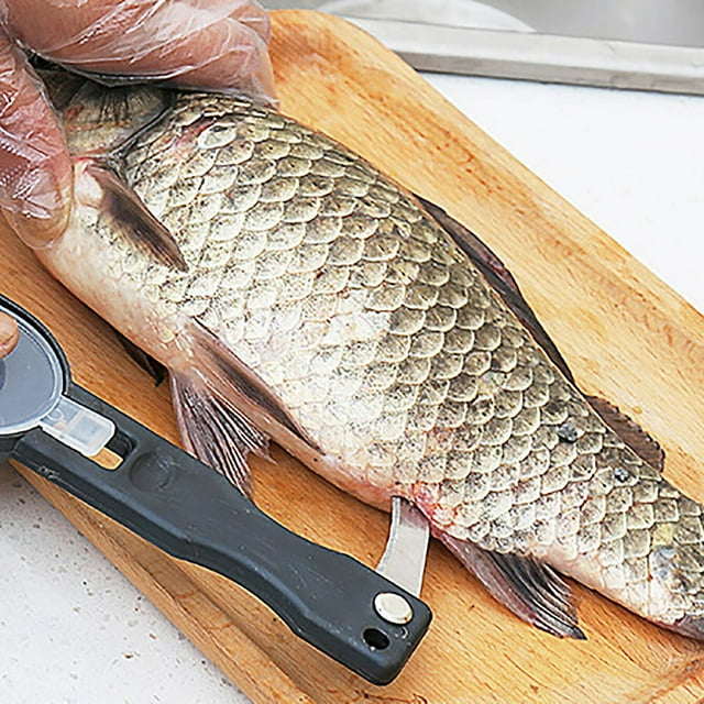 Práctico rascador para quitar escamas de pescado: ABS + acero inoxidable con ranura para escamas y cortador, 20 x 5,5 cm, para colgar en la pared