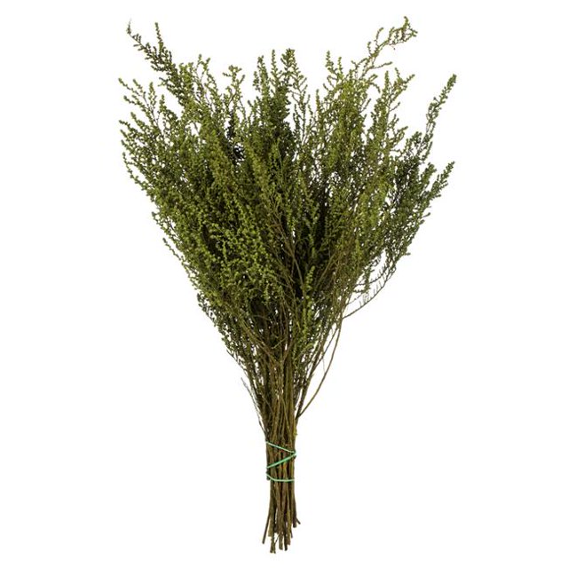 Vickerman H1STB112-2 14 Po. Oasis Green Stoebe avec Ensemble de 5-6 oz