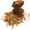 Orange, variant on 100Pcs Hang Tag Strings Firmly Tear-resistance Clothes Tag Ropes with Fastener Hook Daily Use