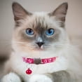 thumbnail image 2 of LAICAIW Lot de 2 Colliers pour Chat à Dégagement Rapide, Collier Réfléchissant pour Chaton avec Clochette et Dégagement de Sécurité (Rose Foncé), 2 of 5