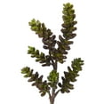 thumbnail image 3 of Nearly Natural 13” Succulent Artificial Flower (Set of 12), 3 of 3