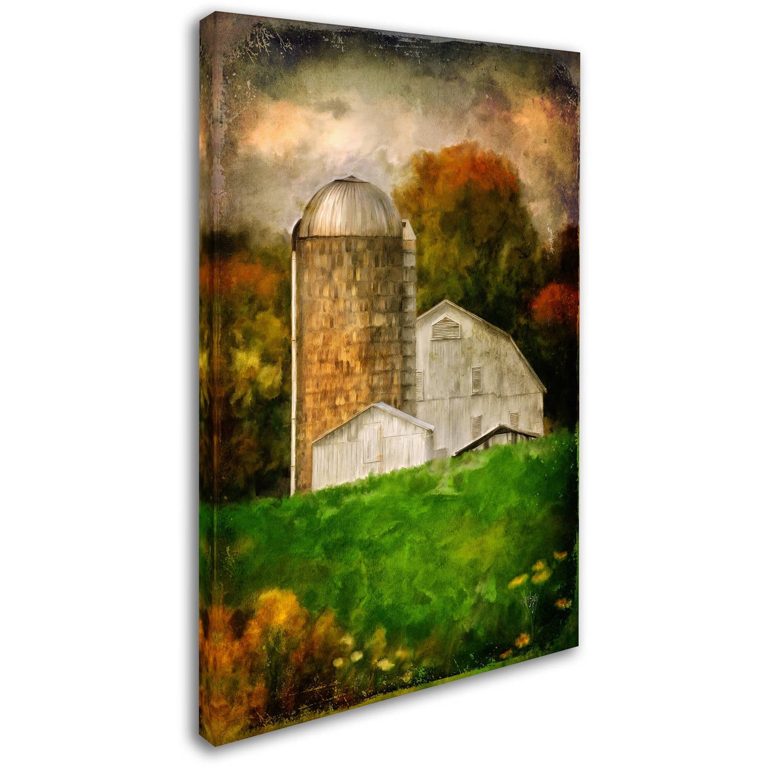 Trademark Fine Art "Down on the Farm" Canvas Art by Lois Bryan