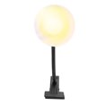 thumbnail image 4 of EU Plug 220V, Better Condense Reptile Sun Lamp Reptile Heat Lamp Adjustable With Adjustable Clamp Holder For Lizards For Turtles, 4 of 8