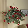 thumbnail image 2 of Pemberly Row Vibrant Begonia Blooms Hanging Basket in Red/Brown, 2 of 7
