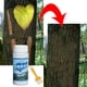 thumbnail image 4 of Heridas en el tronco, cicatrizante, árbol frutal, bonsái, poda de ramas, injerto de corteza de tocón, 4 of 5